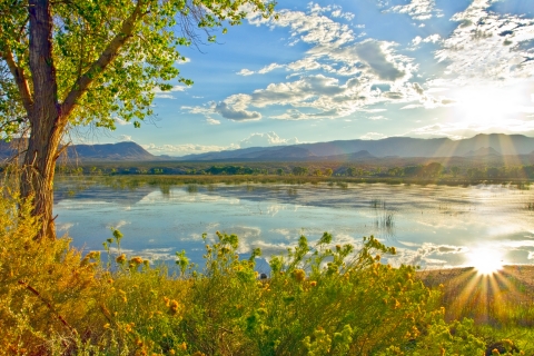 Upper Lake Pahranagat NWR