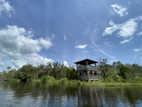 Salt Marsh Trail Lookout Tower