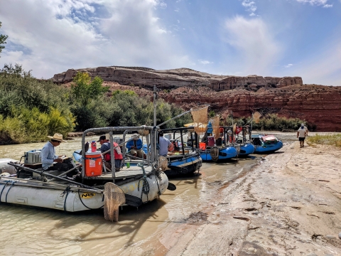 Shocking San Juan River