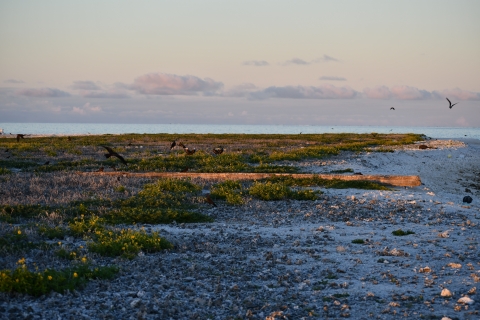 Pearl and Hermes Atoll