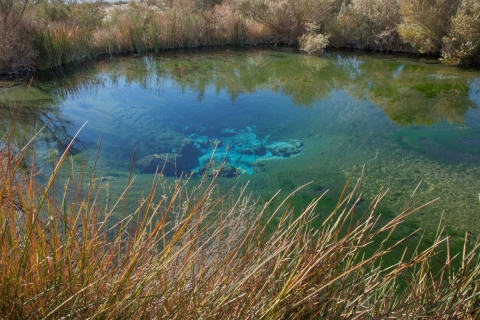 Spring at Pahranagat NWR