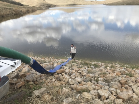 The edge of a truck can been seen in the lower left hand corner of the image. From the truck a wide green pipe extends out and leads down to the edge of a shoreline. At the end of the pipe a man stands and gives the thumbs up symbol meaning, "ready to stock the fish." In the background clouds reflect off the lake that is surrounded by brown grass hills.