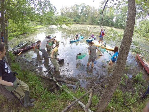 Volunteers sampling for barrens topminnow