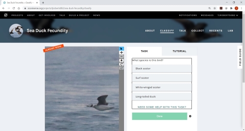 Screenshot of Zooniverse