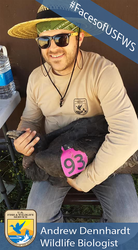 A man wearing a hat and sunglasses holding a large black bird. A banner reads "#FacesofUSFWS" and another banner reads "Andrew Dennhardt, Wildlife Biologist".