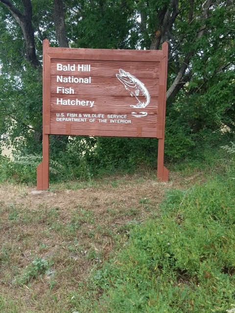 Bald Hill hatchery sign