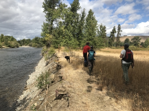 3 people and a dog walking beside a steep riverbank in dry grass.