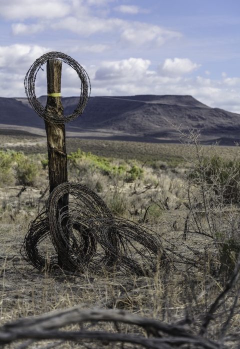 coiled barbed wire fence leaning against wooden post