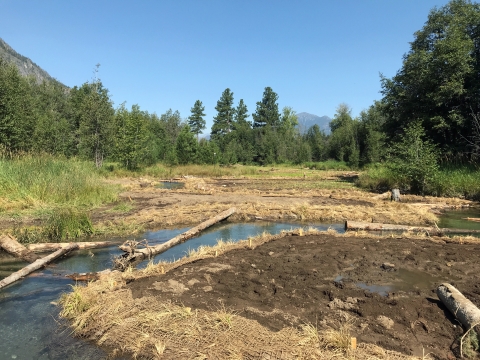 A stream right after restoration, showing new curves and banks supported with mesh, plants, and logs.