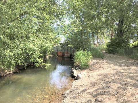 A small stream is blocked by headgates.