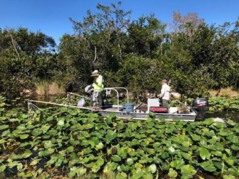 Two men standing on a fishing boat on a canal thick with aquatic plants and surrounded by beautiful trees.