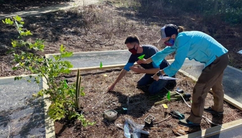 Two people plant small plants inside a square wooden garden box