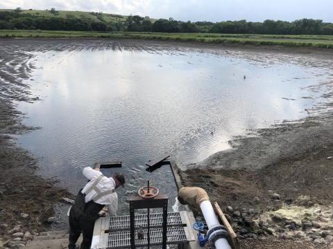 Draining hatchery pond