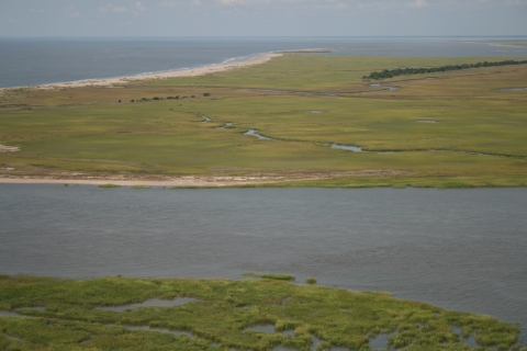 Aerial view of Cape Romain Wilderness Area showing barrier island and salt marsh habitats interspersed with creeks with view of Atlantic Ocean. 