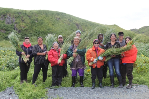 People wearing orange or black jackets stand in front of a green hillside holding bunches of long grass.