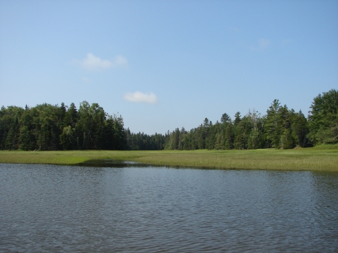 Mason Bay salt marsh Jonesboro, Maine