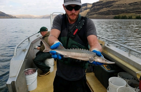 a man in a hat on a boat holding a small spikey looking fish with a long snout