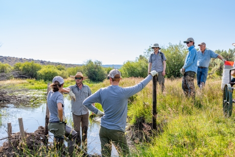 Six people stand in a stream discussing a restoration project