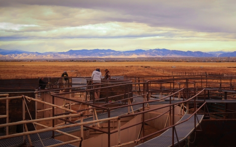 people stand on a corral in front of the Rocky Mountains mountain range