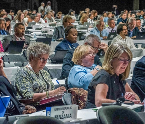 Part of the U.S. delegation to CITES with other country representatives in the background, at a Conference of the Parties to CITES