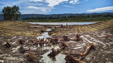 view of channel leading to the Columbia River from Steigerwald Lake NWR with woody debrief, green vegetation and blue skies facing toward Oregon