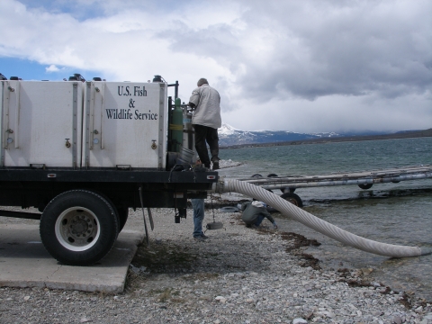 Creston fish stocking