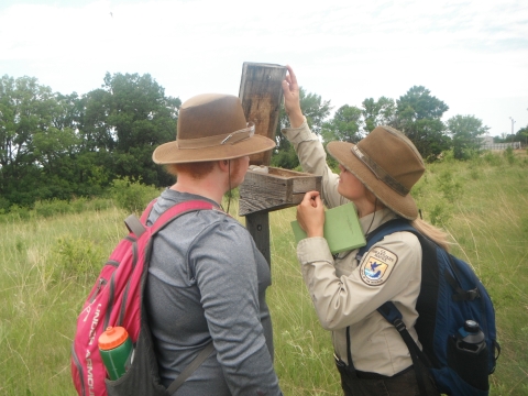 Two adults looking inside an opened bluebird box