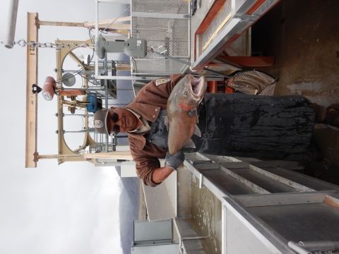 Roy H. holding a large Lahontan cutthroat trout at Marble Bluff Fish Passage and Research Station.