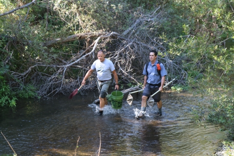 Two men splash walk across river with buckets and nets