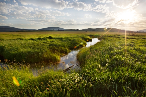 Partners for Fish and Wildlife: Fen Wetland Restoration at Jim Stone's Ranch in Ovando, Montana