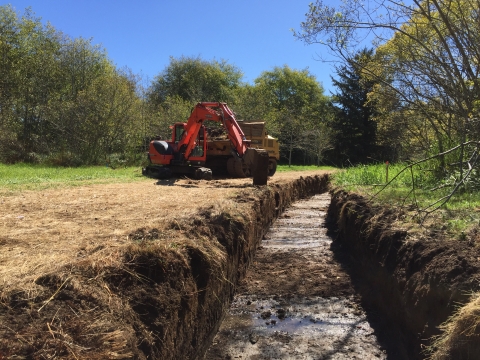 Heavy equipment is used to restore a tidal channel in a salt marsh at Siletz Bay