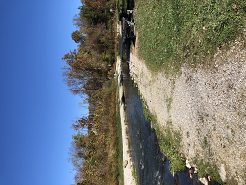 Hatchery Creek at Wolf Creek National Fish Hatchery 