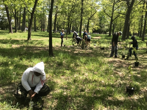 Volunteers planting pollinator garden, Portland, ME