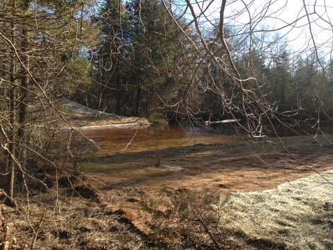 Westecunk Creek Post-Construction