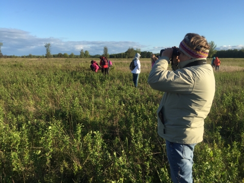 A visitor watches birds at Prairie Overlook