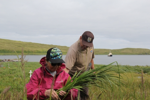 Man in USFWS uniform assists woman gathering grass. A ship is in the bay behind them.