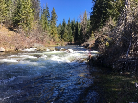 Lolo Creek Falls