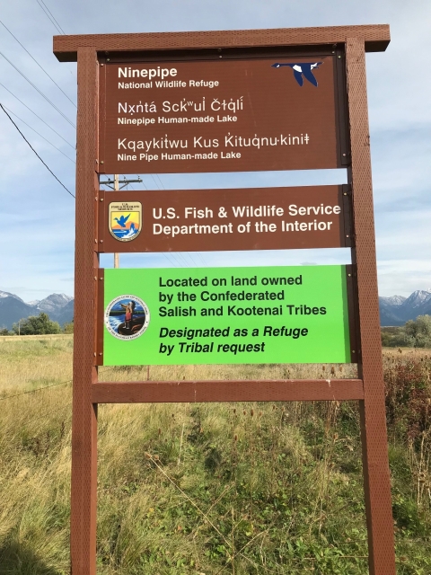 Sign on Ninepipe National Wildlife Refuge shown in English, Séliš-Ql̓ispé, and Kootenai languages. English text reads Ninepipe National Wildlife Refuge, U.S. Fish and Wildlife Service Dept. of the Interior. Located on the land owned by the Confederated Salish and Kootenai Tribes. Designated as a Refuge by Tribal request. Séliš-Ql̓ispé text reads Nx̣n̓tá Sck̓ʷul̓ Čɫq̓lí (Ninepipe Human-made Lake). Kootenai text reads Kqaykit̓wu Kus K̓ituq̓nu·kiniŧ (Ninepipe Human-made Lake).