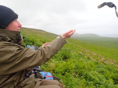 Woman wearing green raincoat with hands out - a bird that she has just released is flying away.