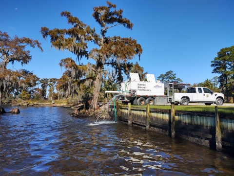 Edenton National Fish Hatchery Truck and Trailer at River Stocking Location.