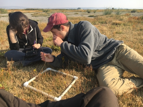 Interns look at plants and seeds at Modoc NWR.