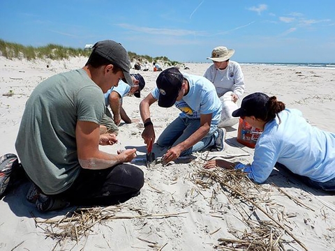 Five peopole are sitting on the sand at the beach. Two excavate wholes others are holding seeds. 