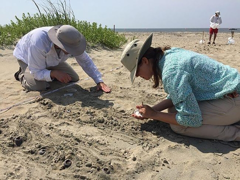 Two people are leaning over sand at the beach. They seemed to be doing focused work.