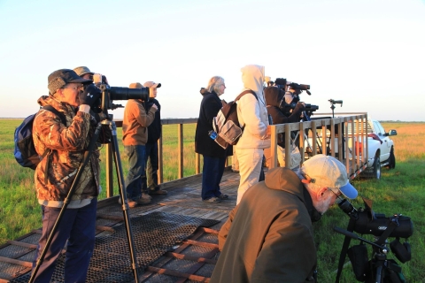 Several festival attendees stand in a truck bed platform and use spotting scopes to observe birds.