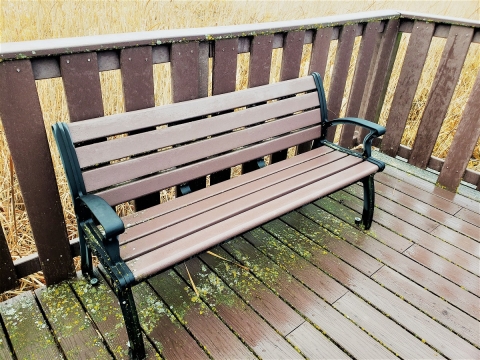 Bench at the Litchfield WMD boardwalk overlook. 