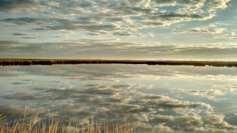 An expanse of open water near a coastal marsh. 