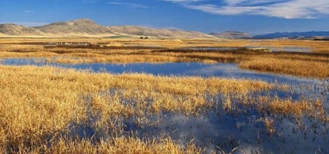 Crescent Lake National Wildlife Refuge