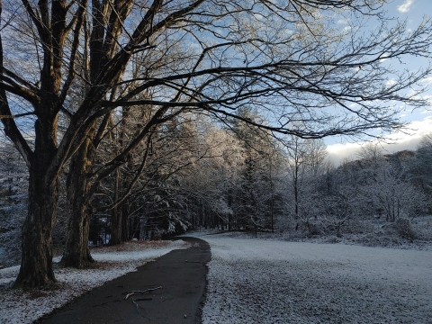 Another beautiful at a fish hatchery with a dusting of snow covering the ground