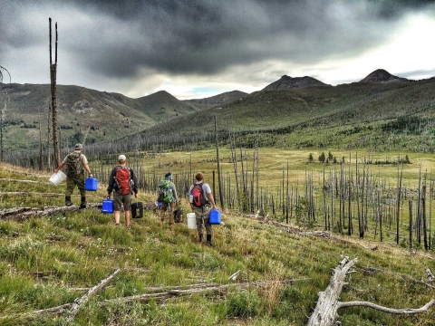 Grayling creek restoration