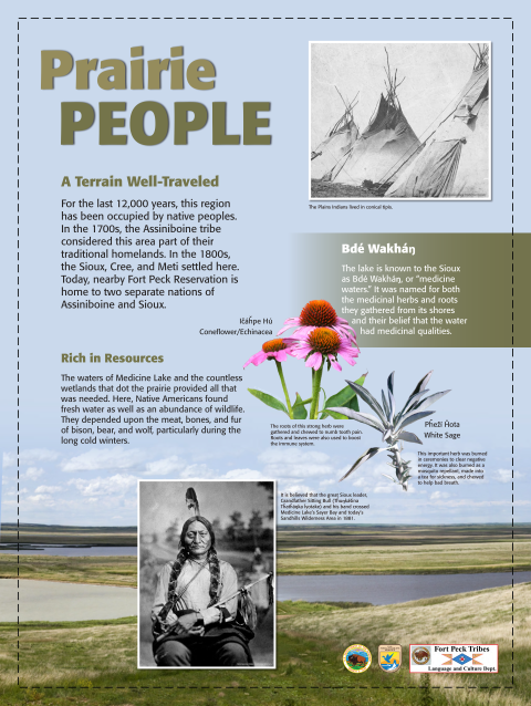 Prairie People: A Terrain Well-Traveled. For the last 12,000 years, this region has been occupied by native peoples. In the 1700s, the Assiniboine tribe considered this area part of their traditional homelands. In the 1800s, the Sioux, Cree, and Meti settled here. Today, nearby Fort Peck Reservation is home to two separate nations of Assiniboine and Sioux. The waters of Medicine Lake and the countless wetlands that dot the prairie provided all that was needed.